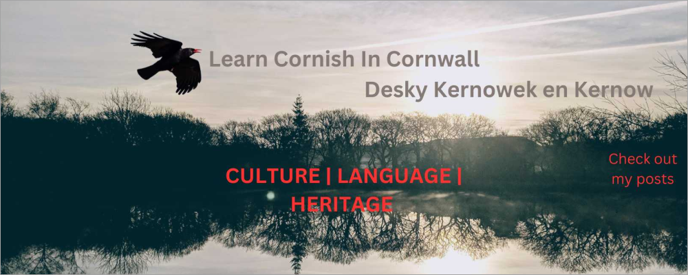 Cornwall Language School Project